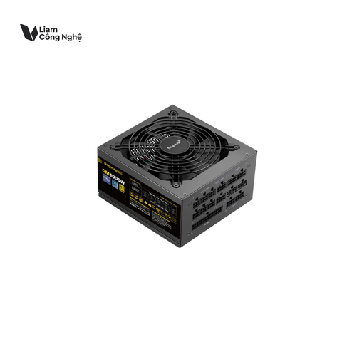 Nguồn Segotep GM1000W 1000W ATX 3.1 (80 Plus Gold | PCIE 5.1)