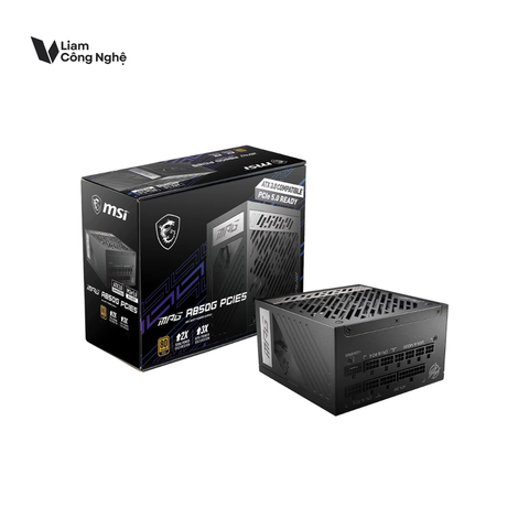 MSI MPG 850W 80 PLus Gold Module