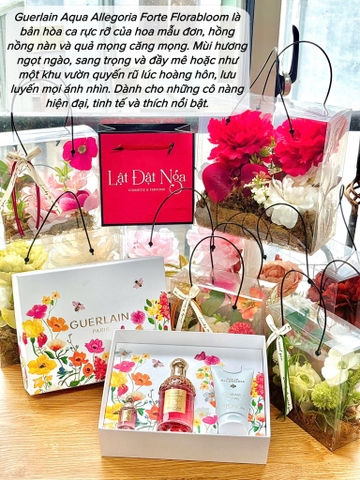 Sét Nước Hoa GUERLAIN : Aqua Allegoria 75ml + Aqua Allegoria 7,5ml + body lotion 75ml