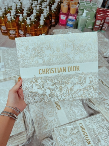 Túi Giấy DIOR