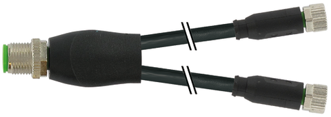 Đầu nối chữ Y Murrelektronik M12 male/M8 female 0° A-cod 7000-40821-6100030