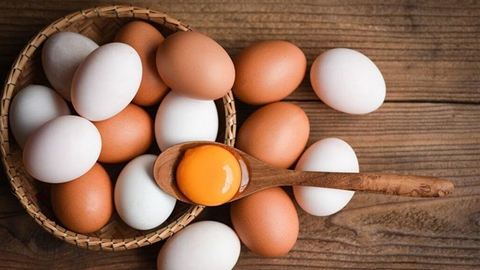 Bị gout ăn trứng được không? giải đáp chi tiết cho người bệnh gout
