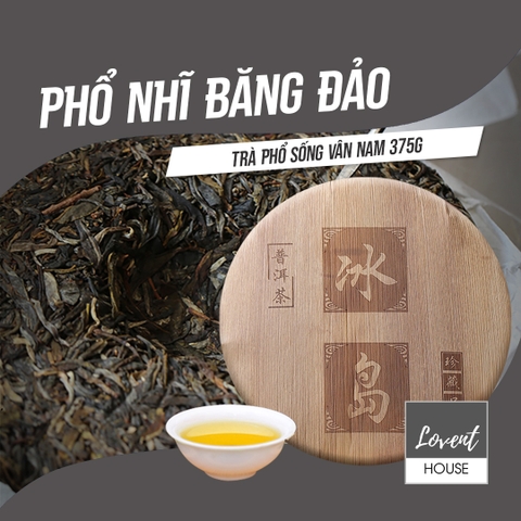 BĂNG ĐẢO PHỔ NHĨ SINH TRÀ (Phổ Nhĩ Sống) - Bánh 375g - cây trà cổ thụ 150 năm, thuần thủ công