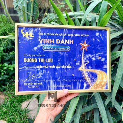 Khung vinh danh chất liệu kim loại nhiều màu sắc