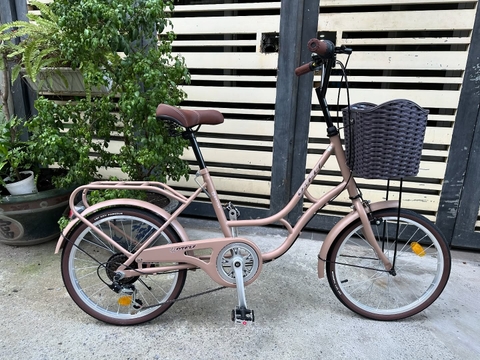 Xe Đạp mini DTFLY MORNING C-04 / 3,Xtr