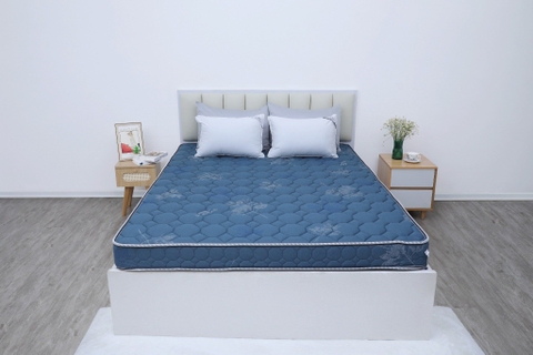 Đệm cứng bông tinh khiết mix foam TH3 SH_DF25 304