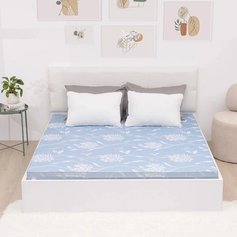 Đệm cứng bông ép tinh khiết SH_DG21 008