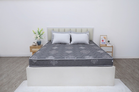 Đệm cứng bông ép tinh khiết mix foam TH3 SH_DF25 303