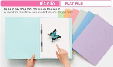 Bìa Accord giấy Plus A4