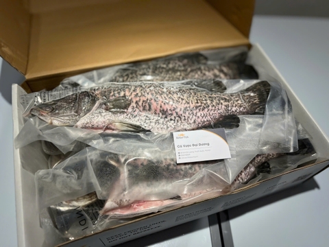 Cá Vược TheBetterFish Nguyên Con Đông Lạnh