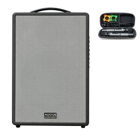 Loa Acnos AUCUS X300