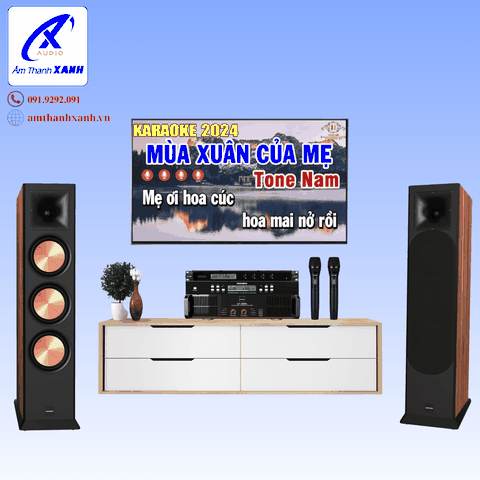 Dàn Karaoke Paramax EURO 803 limited