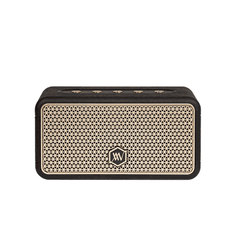 Loa Bluetooth Alpha Works W38 - Hàng Chính hãng PGI