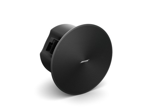 BOSE DESIGNMAX DM6C