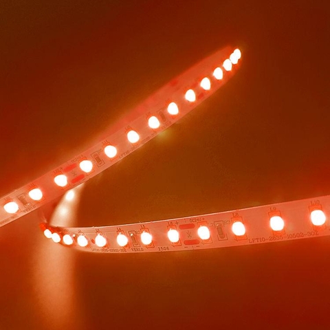 Đèn LED Dây Smd 2835 LMBLT-51 11W 24V IP20 Chạy Đuổi RGBIC Thông Minh - ZALAA OEM/ODM Addressable LED Strip Light