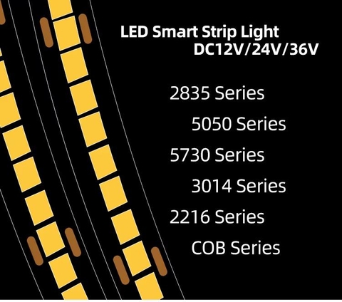 Đèn LED Dây Smd 2835 LMBLT-51 11W 24V IP20 Chạy Đuổi RGBIC Thông Minh - ZALAA OEM/ODM Addressable LED Strip Light