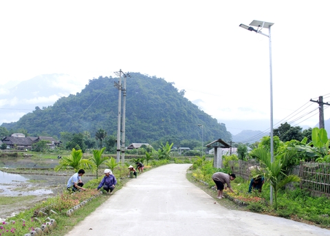 Đèn Năng Lượng Mặt Trời Thắp Sáng Đường Quê - Nông Thôn Mới