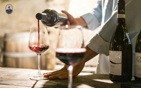 Top 8+ Đại lý rượu vang tại Hà Nội nhập khẩu chính hãng 100%