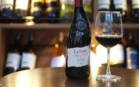 Top 10 Chai Rượu Vang Ngon Giá Dưới 1 Triệu Đáng Mua Nhất Hiện Nay