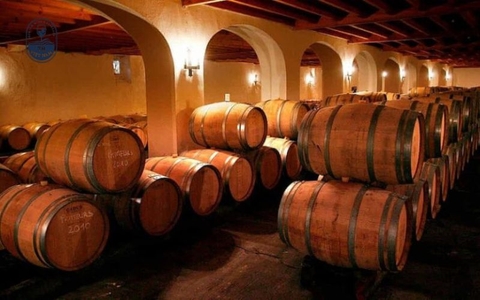 Quy Trình Sản Xuất Vang Nho Ngon Chuẩn Công Nghệ