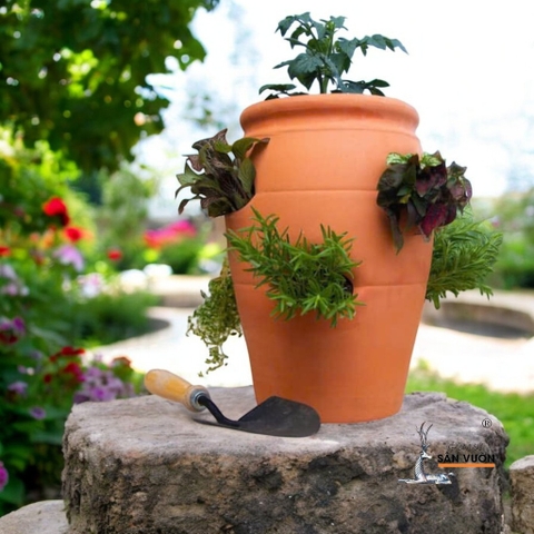 Chậu Gốm Đất Nung Hình Túi Đứng Strawberry Pot - Gốm Sứ Sân Vườn