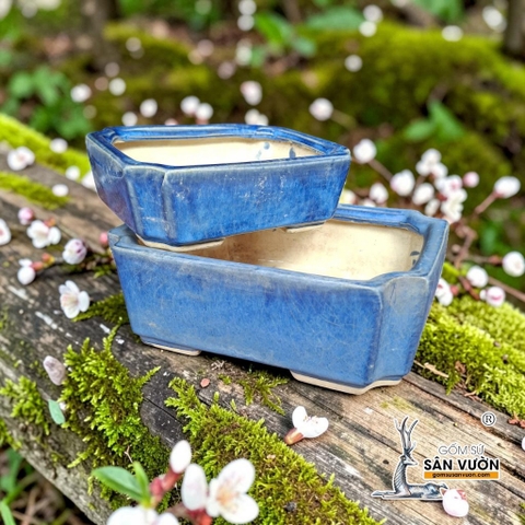 Chậu Bonsai Chữ Nhật Tráng Men Xanh - Gốm Sứ Sân Vườn