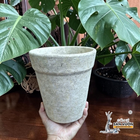 Chậu Ly Gờ Wax Nhám 19cm  - Gốm Sứ Sân Vườn