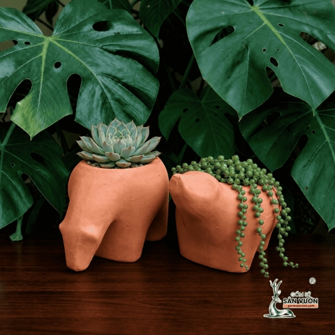 Chậu Gốm Đât Nung Hình Thú Ăn Kiến - Gốm Sứ Sân Vườn