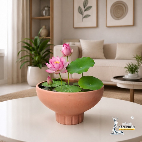 Chậu Gốm Đất Nung Hình Cúp Trơn Chân Sọc - Ngang 23cm x Cao 13.5cm - Gốm Sứ Sân Vườn