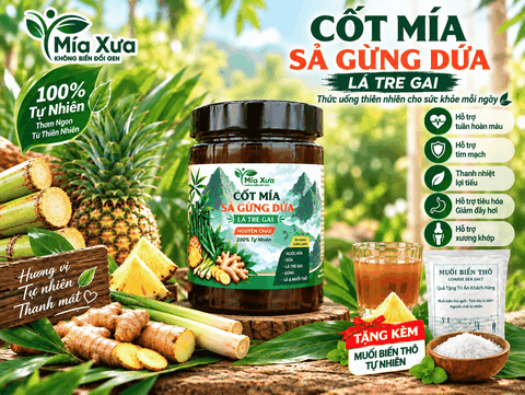 Cốt Mía Sả Gừng Dứa Lá Tre Gai Là Gì ? Cách Dùng & Đặc Điểm