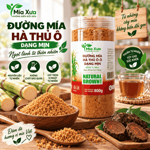 Đường Mía Hà Thủ Ô Là Gì ? Đặc Điểm Và Cách Sử Dụng