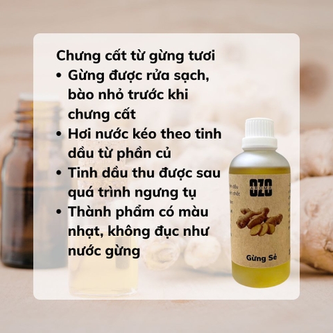 Tinh Dầu Gừng Sẻ