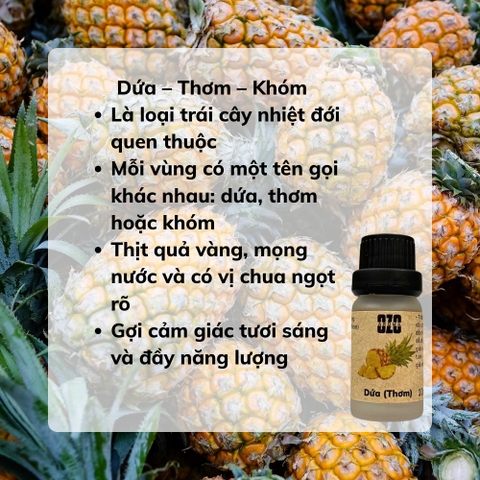 Tinh Dầu Quả Dứa (Thơm, Khóm)