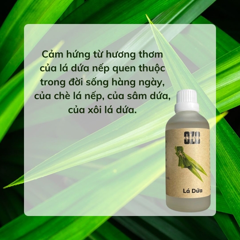 Tinh Dầu Lá Dứa (Lá Nếp)
