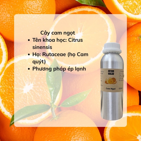 Tinh Dầu Cam Ngọt