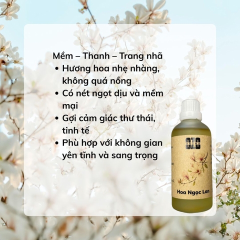 Hương Tinh Dầu Hoa Ngọc Lan