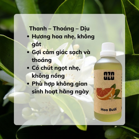 Hương Tinh Dầu Hoa Bưởi