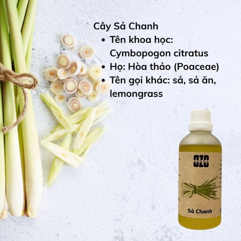 Tinh Dầu Sả Chanh