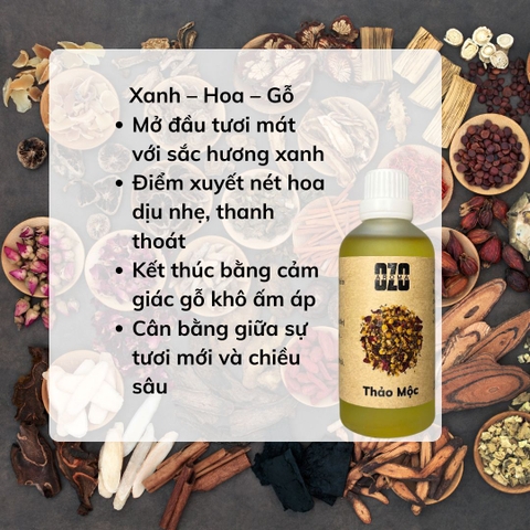 Hương Tinh Dầu Thảo Mộc