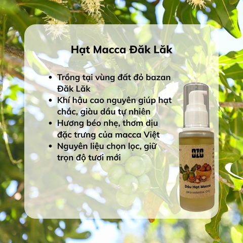 Dầu Hạt Macca Ép Lạnh - Chai 50ml