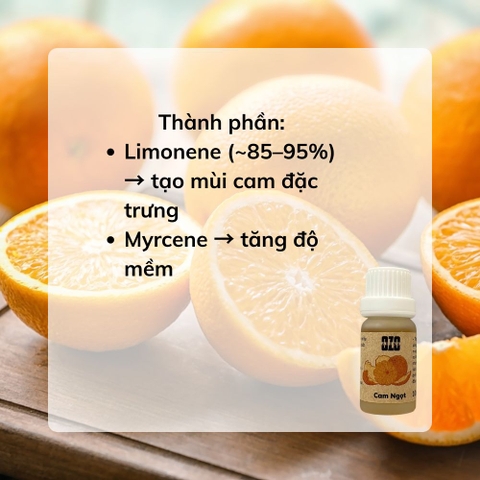 Tinh Dầu Cam Ngọt