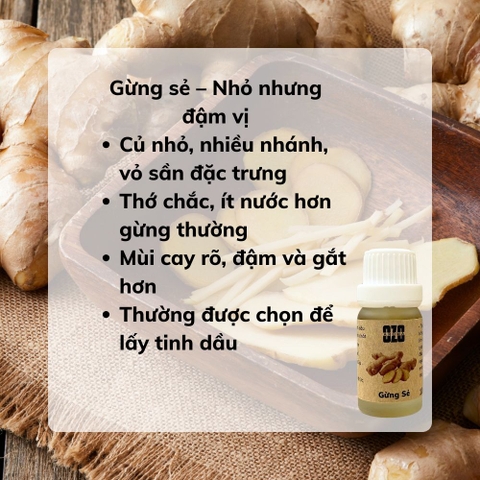 Tinh Dầu Gừng Sẻ