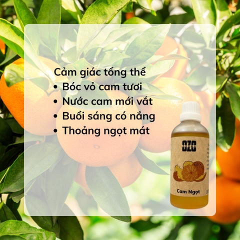 Tinh Dầu Cam Ngọt