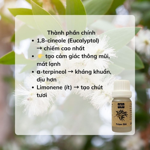 Tinh Dầu Tràm Gió
