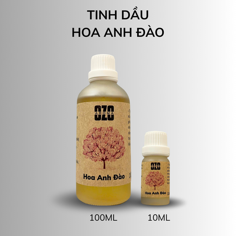 Hương Tinh Dầu Hoa Anh Đào