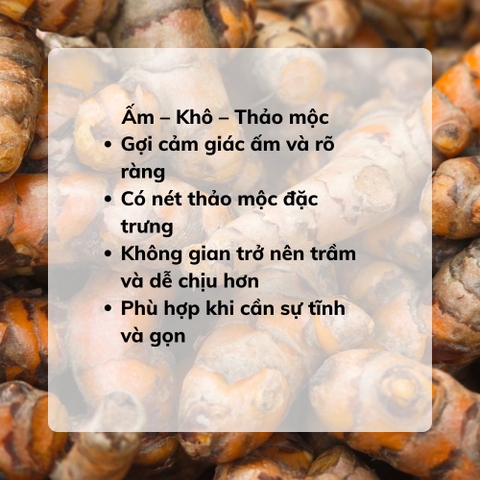 Tinh Dầu Nghệ Vàng