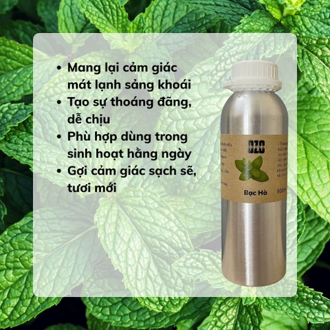 Tinh Dầu Bạc Hà