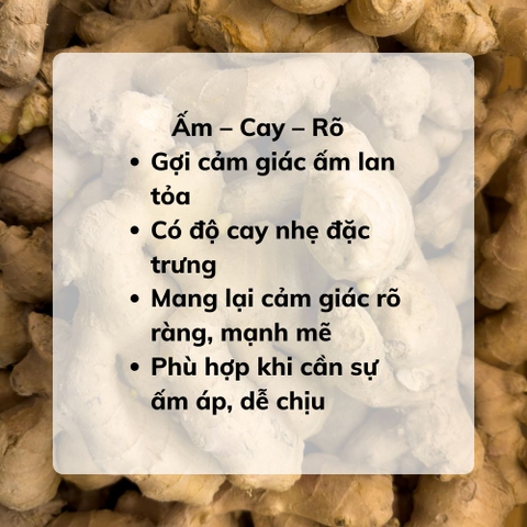 Tinh Dầu Gừng Sẻ