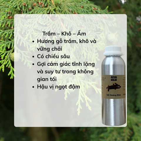 Tinh Dầu Gỗ Hoàng Đàn