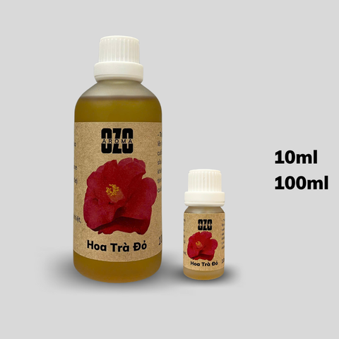 Hương Tinh Dầu Hoa Trà Đỏ